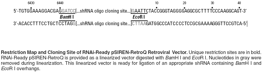 RNAi-Ready pSIREN-RetroQ多克隆位点